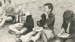 Het zomerkamp